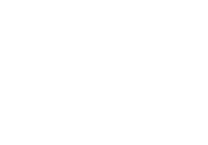 DVG Freiburg
